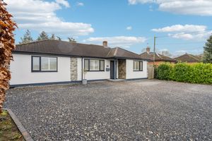 Front- click for photo gallery